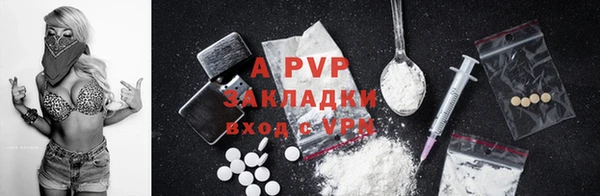 шишки Горнозаводск
