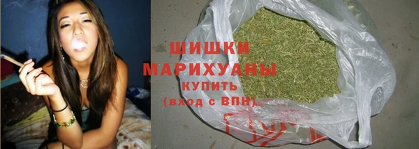 шишки Горнозаводск