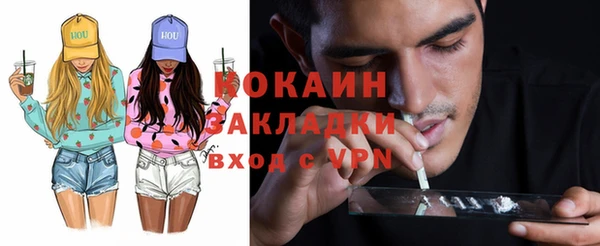 шишки Горнозаводск