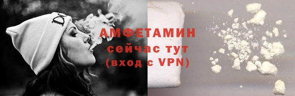 шишки Горнозаводск