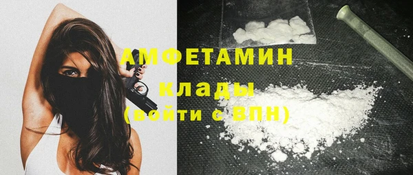 шишки Горнозаводск
