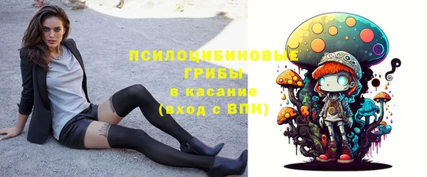 винт Покачи